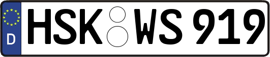 HSK-WS919