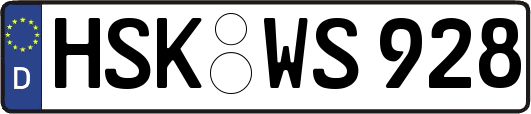 HSK-WS928