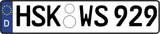 HSK-WS929