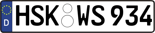 HSK-WS934