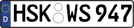 HSK-WS947