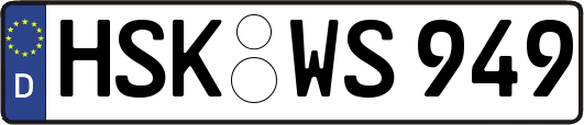 HSK-WS949