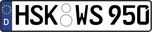 HSK-WS950
