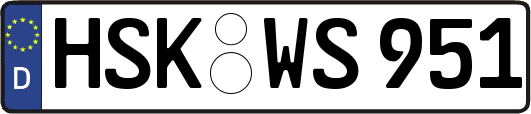HSK-WS951