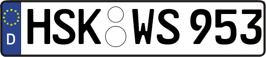 HSK-WS953
