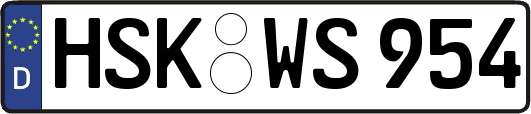 HSK-WS954