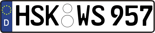 HSK-WS957