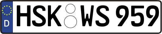 HSK-WS959
