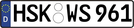 HSK-WS961