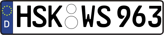 HSK-WS963