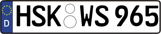HSK-WS965