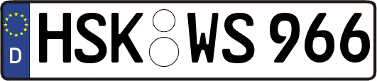 HSK-WS966