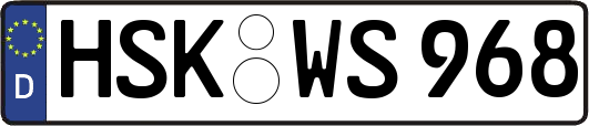 HSK-WS968