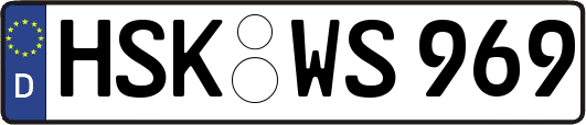 HSK-WS969