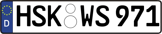 HSK-WS971
