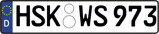 HSK-WS973