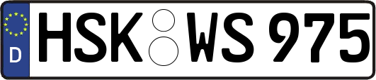 HSK-WS975