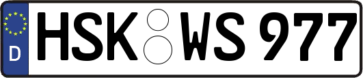 HSK-WS977