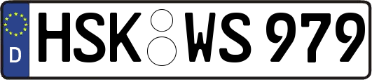 HSK-WS979