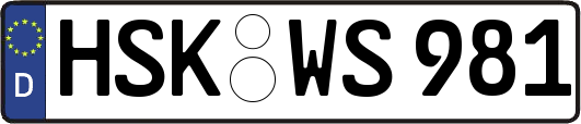 HSK-WS981