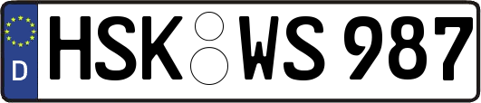 HSK-WS987