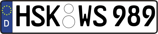 HSK-WS989