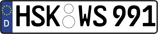 HSK-WS991