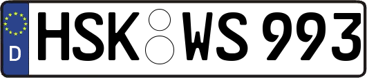 HSK-WS993