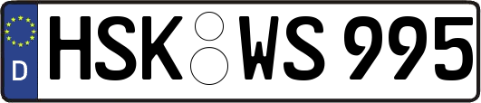 HSK-WS995
