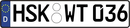 HSK-WT036