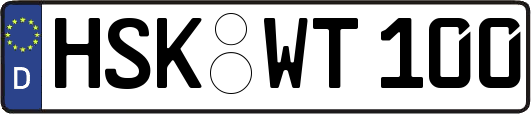 HSK-WT100