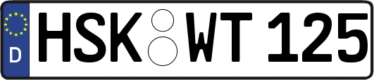 HSK-WT125