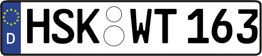 HSK-WT163