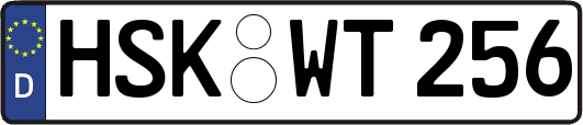HSK-WT256