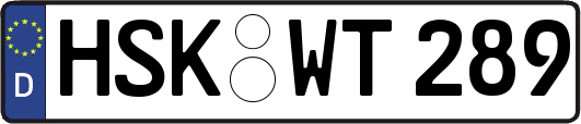 HSK-WT289
