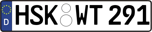 HSK-WT291