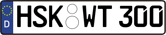 HSK-WT300