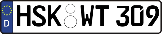 HSK-WT309