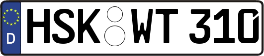 HSK-WT310