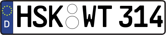 HSK-WT314