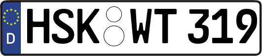 HSK-WT319