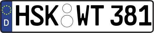 HSK-WT381