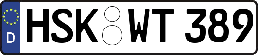 HSK-WT389