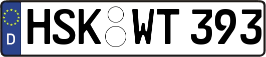 HSK-WT393