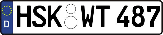 HSK-WT487
