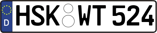 HSK-WT524