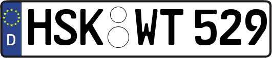 HSK-WT529