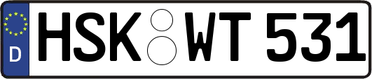 HSK-WT531