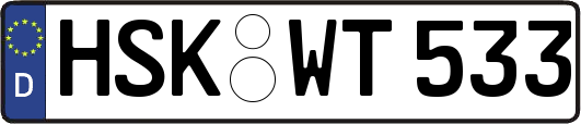 HSK-WT533