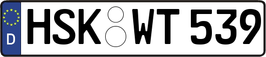 HSK-WT539